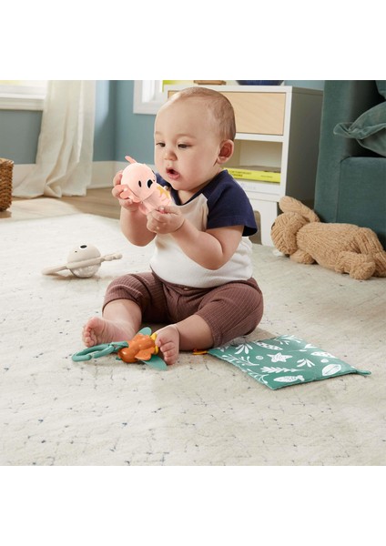 Duyuları Harekete Geçiren Bebek Oyun Seti HRB17 fiyatları