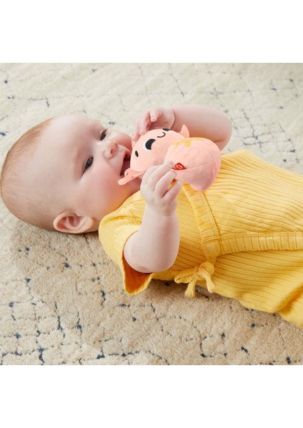 Duyuları Harekete Geçiren Bebek Oyun Seti HRB17 fırsatları