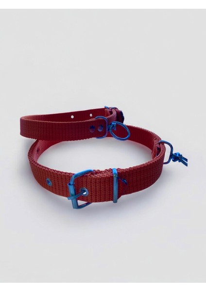 Büyük Boy Köpek Tasması 45 – 60cm