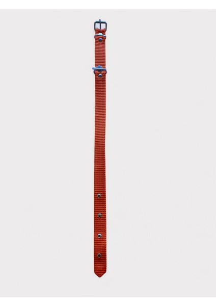 Büyük Boy Köpek Tasması 45 – 60cm modelleri