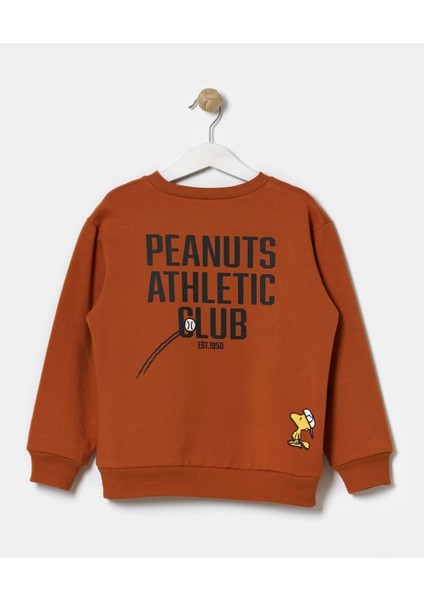 Erkek Çocuk Snoopy Baskılı Nakışlı Kahverengi Alt Üst Içi Polarlı Takım modelleri