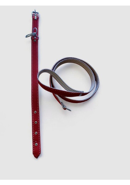 Büyük Boy Gezdirmeli Köpek Tasması 45 - 60 cm