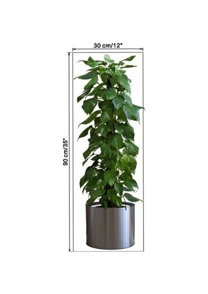 Saksılı Bitki Tasarımlı Yapışkanlı Sticker Resim 90*30 cm MC-665 (Yeni) modelleri
