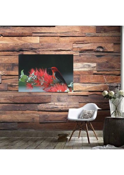 Ahşap Retro Mdf Poster , Komik Sözler , Duvar Yazıları , Manzara , Tarih , Edebiyat - TBL0671