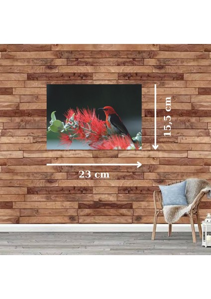 Ahşap Retro Mdf Poster , Komik Sözler , Duvar Yazıları , Manzara , Tarih , Edebiyat - TBL0671 fiyatları