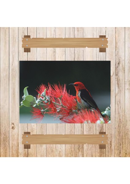 Ahşap Retro Mdf Poster , Komik Sözler , Duvar Yazıları , Manzara , Tarih , Edebiyat - TBL0671 modelleri