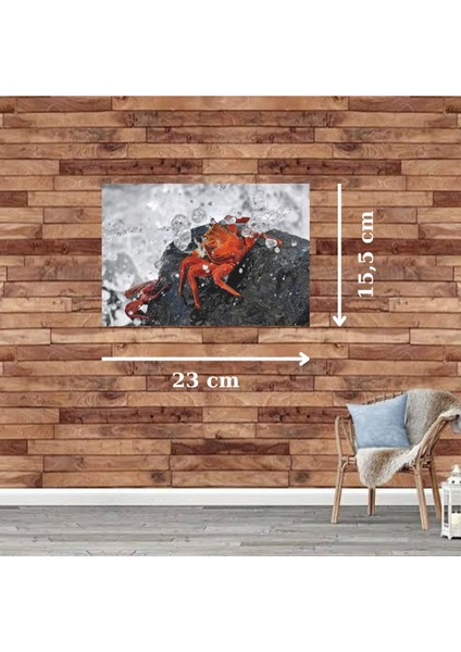 Ahşap Retro Mdf Poster , Komik Sözler , Duvar Yazıları , Manzara , Tarih , Edebiyat - TBL0691 fiyatları