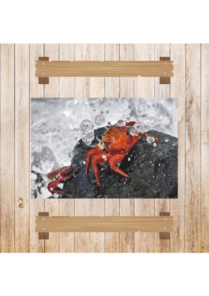 Ahşap Retro Mdf Poster , Komik Sözler , Duvar Yazıları , Manzara , Tarih , Edebiyat - TBL0691 modelleri