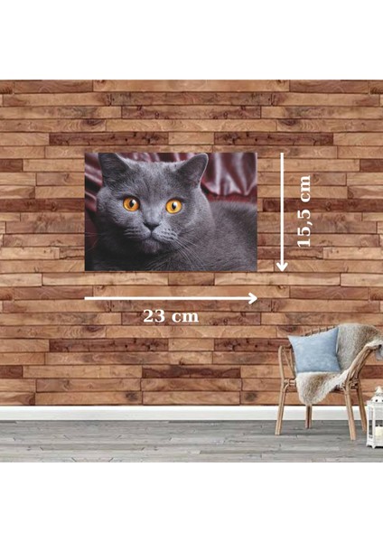 Ahşap Retro Mdf Poster , Komik Sözler , Duvar Yazıları , Manzara , Tarih , Edebiyat - TBL0657 fiyatları