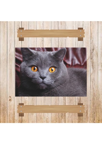 Ahşap Retro Mdf Poster , Komik Sözler , Duvar Yazıları , Manzara , Tarih , Edebiyat - TBL0657 modelleri