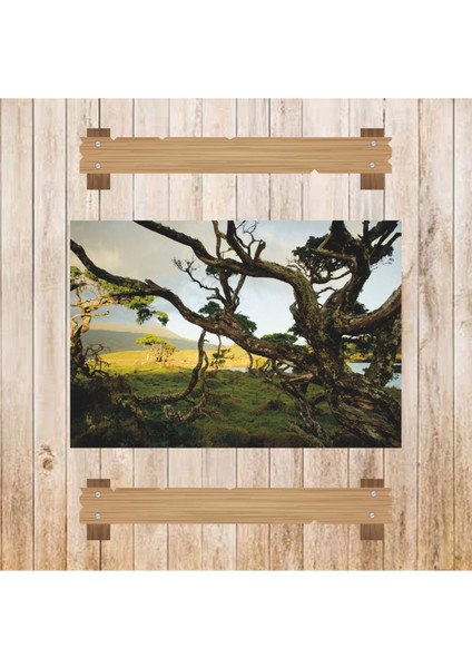 Ahşap Retro Mdf Poster , Komik Sözler , Duvar Yazıları , Manzara , Tarih , Edebiyat - TBL0696 modelleri