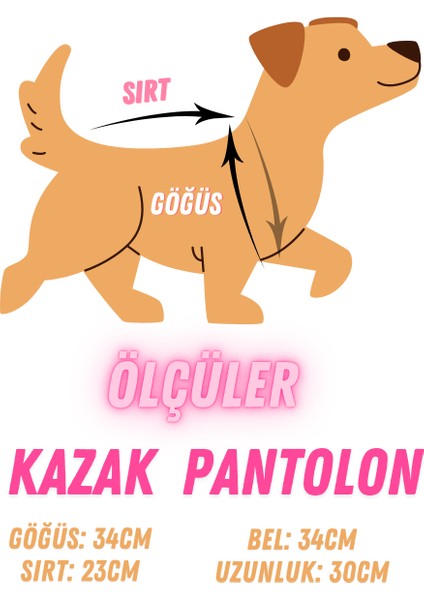 Kedi Köpek Için Lacivert Denizci Kazak Pantolon Takım
