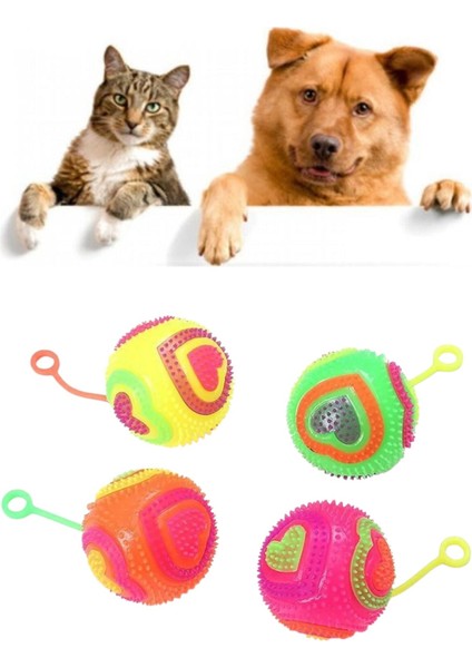 Tineke Kalpli Model Işıklı Oyun Topu 6,5 cm Kedi Köpek Oyun Topu 1 Adet