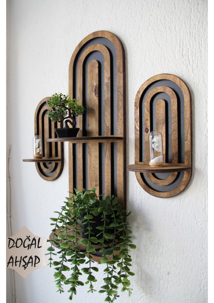 Kemerli Ahşap Tasarımlı Orta Yüzyıl Modern Duvar Rafı 3 Lü Set Ceviz Vernik