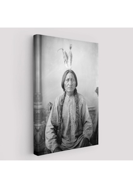 - Oturan Boğa Tablosu, Amerikaya Karşı Savaşan Son Kızılderili Kabile Şefi, Sitting BULL-6416 fiyatları