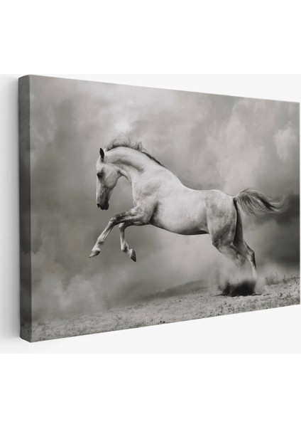 - Çöldeki Beyaz At TABLOSU-6598 fiyatları