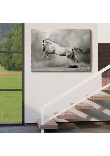 - Çöldeki Beyaz At TABLOSU-6598 indirimleri