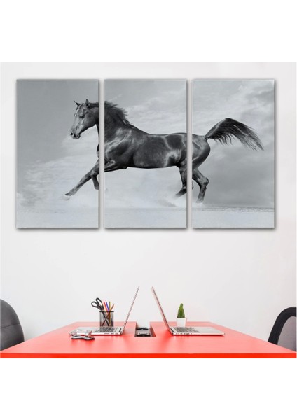 - Siyah At TABLOSU-6623 modelleri