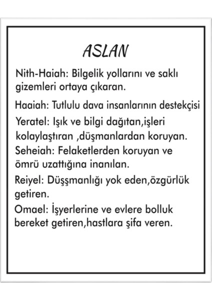 Aslan Burcu Yıldız Dizilimi Madalyon Kolye