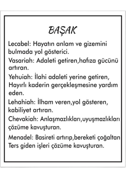 Başak Burcu Yıldız Dizilimi Madalyon Kolye