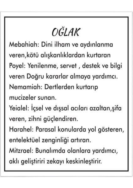 Oğlak Burcu Yıldız Dizilimi Madalyon Kolye
