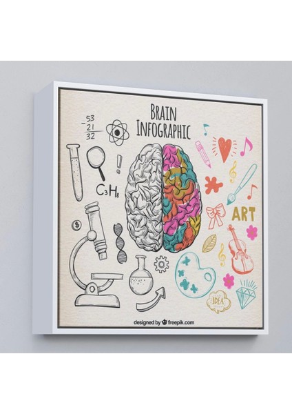 - Çerçeveli Fantastik Insan Beyni Tablosu - Beyin Cerrahi Hastanesi HEDIYESI-8314