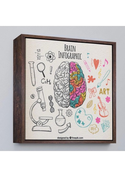 - Çerçeveli Fantastik Insan Beyni Tablosu - Beyin Cerrahi Hastanesi HEDIYESI-8314 fiyatları