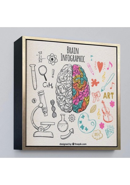 - Çerçeveli Fantastik Insan Beyni Tablosu - Beyin Cerrahi Hastanesi HEDIYESI-8314 modelleri