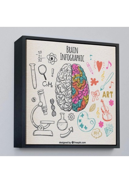 - Çerçeveli Fantastik Insan Beyni Tablosu - Beyin Cerrahi Hastanesi HEDIYESI-8314 fırsatları