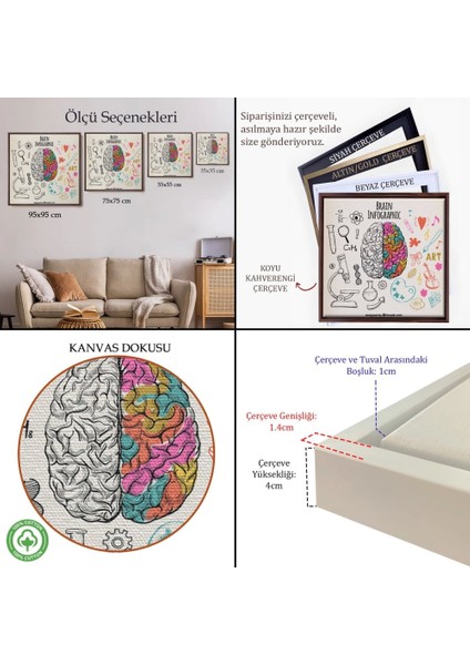 - Çerçeveli Fantastik Insan Beyni Tablosu - Beyin Cerrahi Hastanesi HEDIYESI-8314 indirimleri