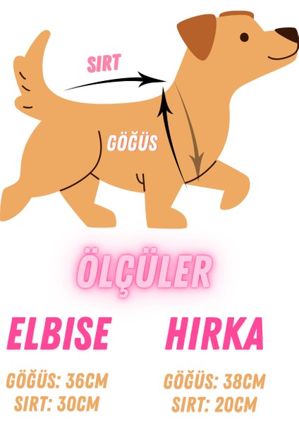 Pamuk Şekeri Lady, Pembe Kedi Köpek Elbise, Şapka ve Hırka Takım