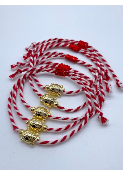 Hediyelik Kartlı Jelatinli Kaplumbağa Marteniçka Dilek ve Şans Bilekliği Seti (5 Adet)