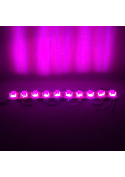 Pembe Modül LED 48*30 2835 24 Volt 1.4 Watt