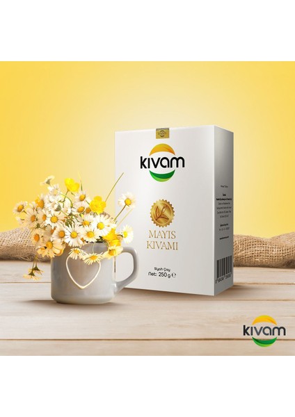 Mayıs Kıvamı 250 gr x 10 Adet