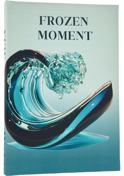 Frozen Moment Kitap Kutu (B)