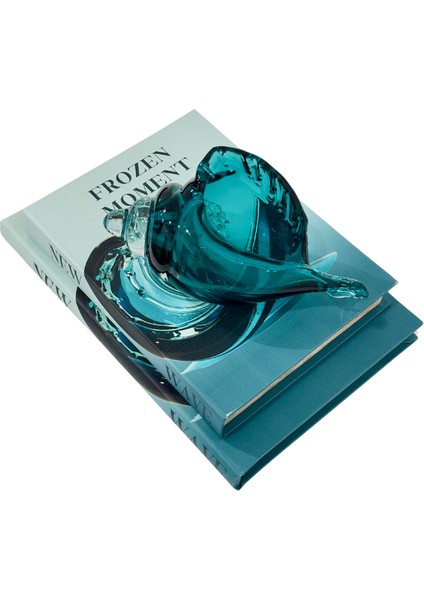 Frozen Moment Kitap Kutu (K) fırsatları