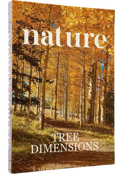 Nature Kitap Kutu (B)