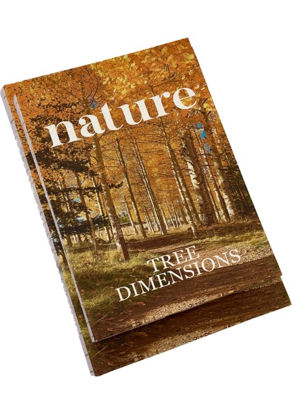 Nature Kitap Kutu (B)