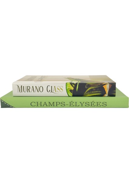 Yeşil Paris Kitap Kutu fiyatları