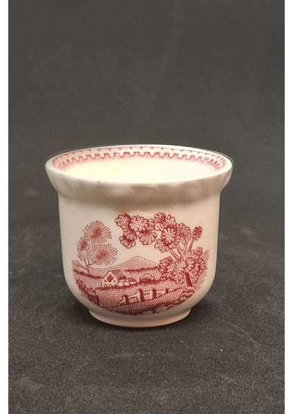 Ingiliz Manzaralı Vintage Yumurtalık Çiçekli Kırmızı 1 Adet