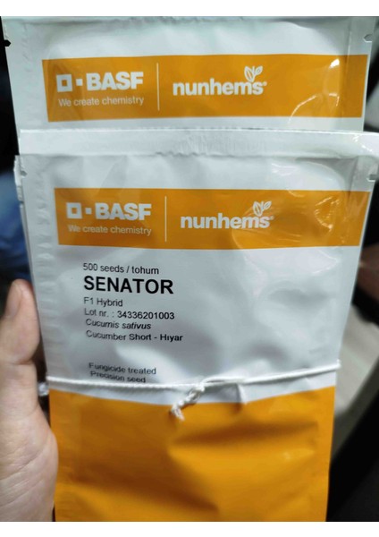 Senator F1 Hibrit Sırık Silor Hıyar Tohumu 500 Adet