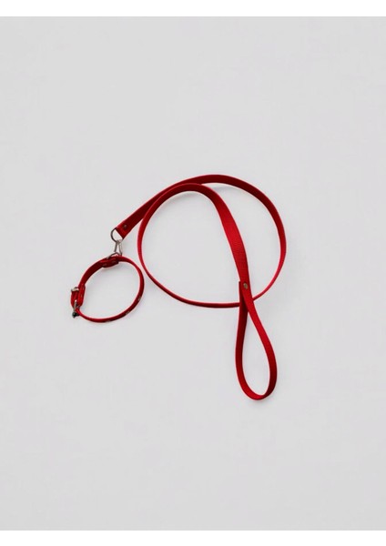 Küçük Boy Yavru Köpekler İçin Gezdirme Tasması fiyatları