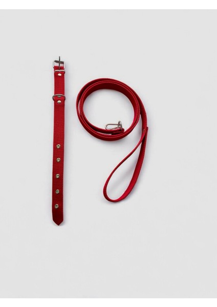 Küçük Boy Yavru Köpekler İçin Gezdirme Tasması modelleri