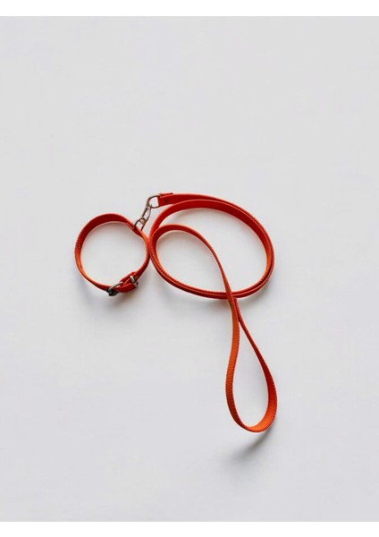 Küçük Boy Yavru Köpekler İçin Gezdirme Tasması fiyatları