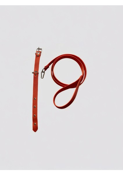 Küçük Boy Yavru Köpekler İçin Gezdirme Tasması modelleri