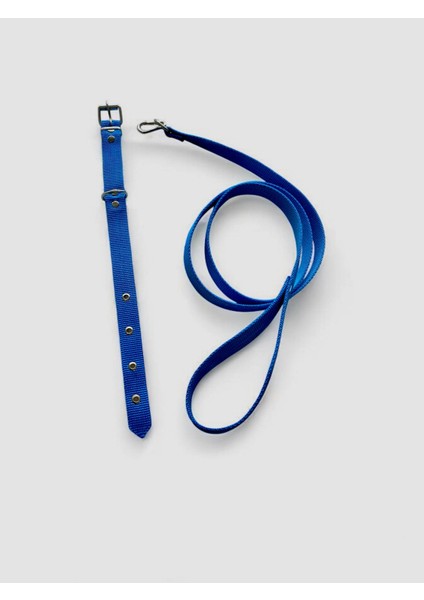 Küçük Boy Yavru Köpekler İçin Gezdirme Tasması modelleri