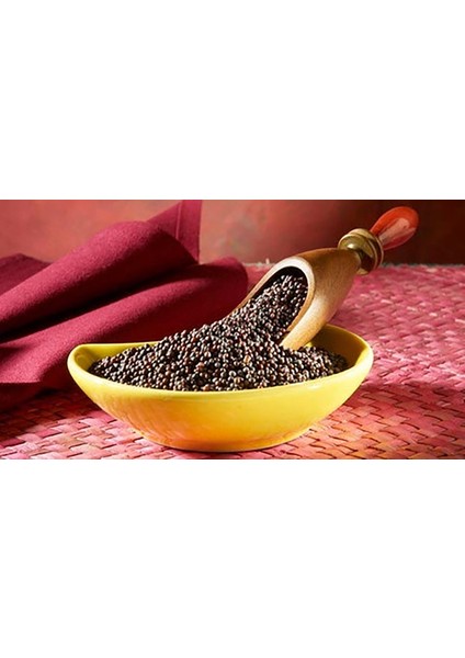 Siyah Hardal Tohumu (Black Mustard Seed) modelleri