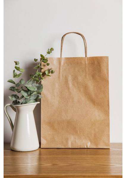 Burgu Saplı Kraft Çanta 200 - 32X40X12CM fiyatları