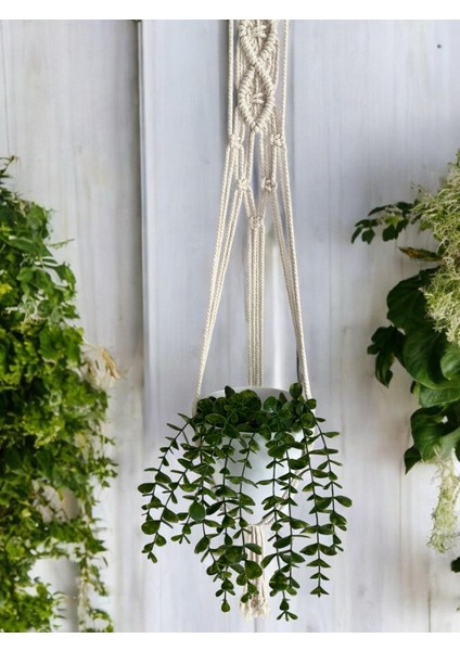 Askılı Çiçeklik,elyapımı Makrome Saksılık, Balkon ve Bahçe Dekoru fiyatları