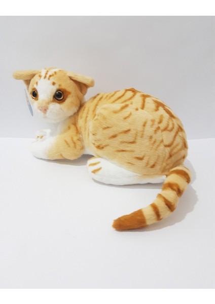 35 cm Peluş Oyuncak Yatan Kedi